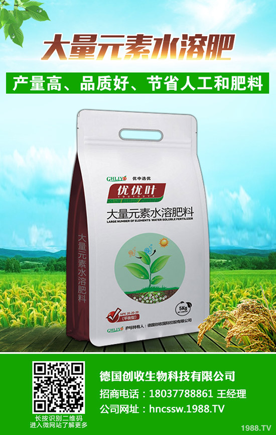     ���Շ���(n��i)���@�r(ji��)�������߄��A(y��)�y�C���u(p��ng)��2019��9��18��