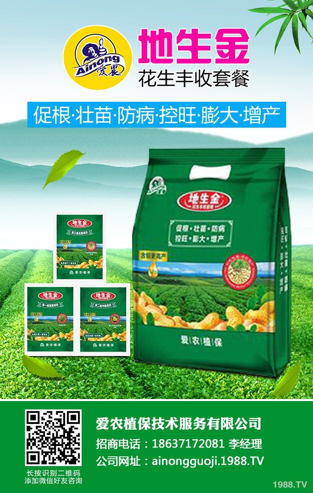 地膜棉花倒伏如何防治？地膜棉花倒伏應(yīng)對(duì)措施