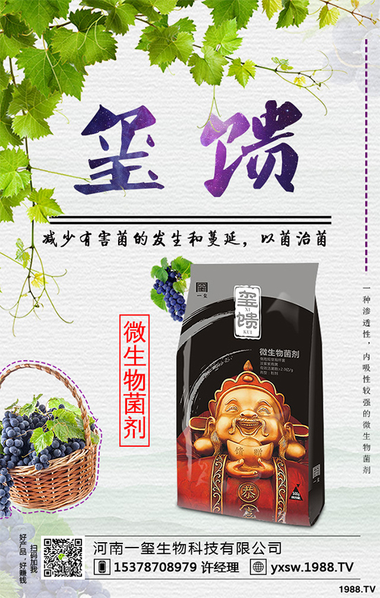     �������ӷNֲ�{ݮ���Nֲ�{ݮ��ԓע��ʲô��