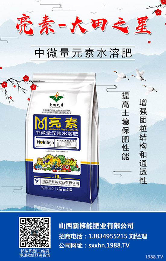 �＾�߲�����������＾���õ������С���������g(sh��)��