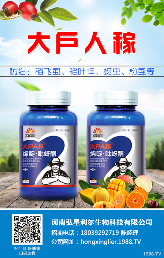 ���[�Nֲ��Ҫ��ô���������[�Nֲ�������g(sh��)Ҫ�c(di��n)��