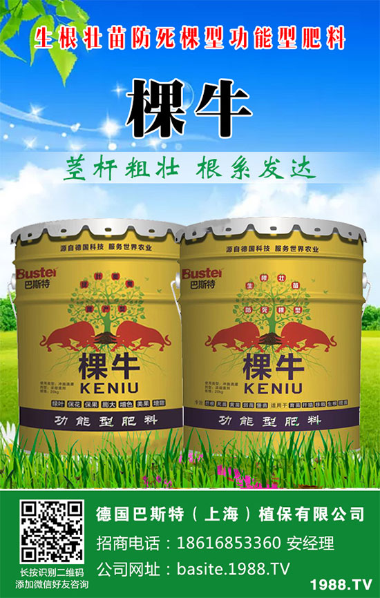 ���[���ʩ�������[�ƌW(xu��)������ʩ�ʷ�����