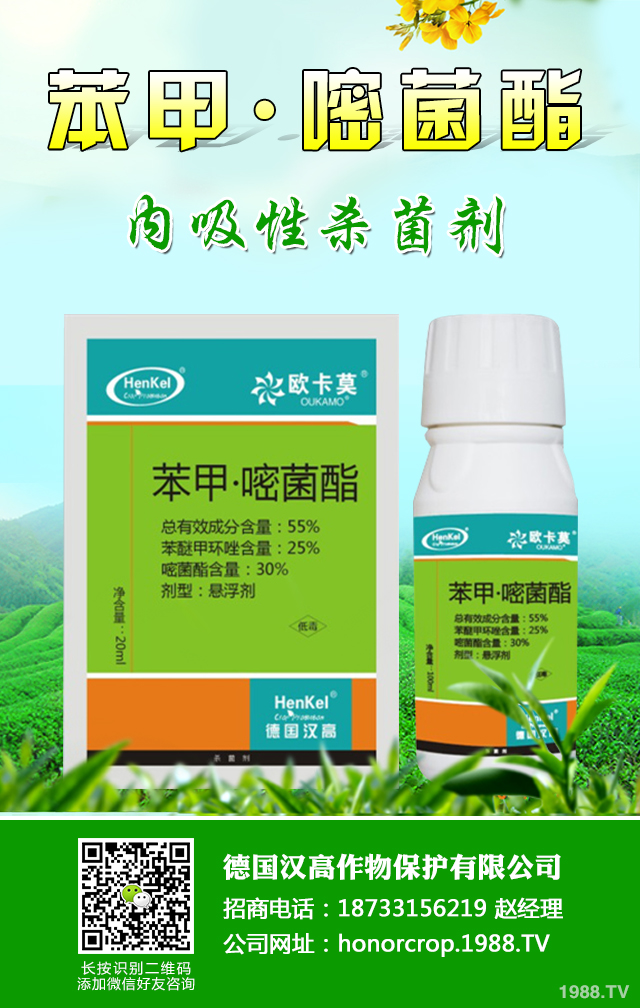 �۲������Բ������ӷ������۲������Բ������μ���