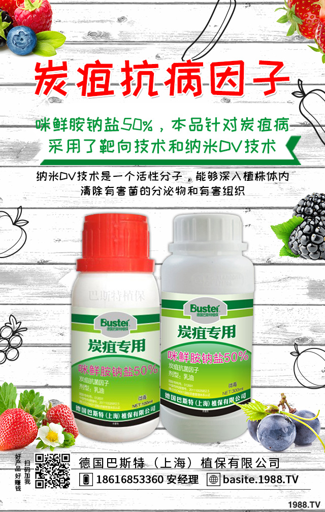 ����̿�Ҳ���ô�k������̿�Ҳ���Ч���μ���