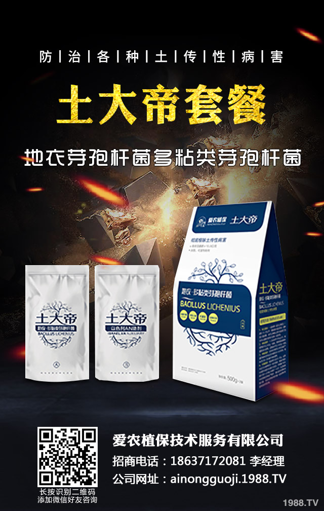 �ﲥС����ô����|(zh��)�����ﲥС������|(zh��)����Ҫ�c(di��n)