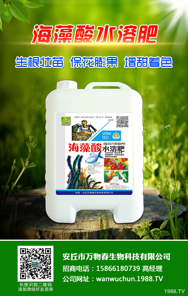 �ﲥС����ô����|(zh��)�����ﲥС������|(zh��)����Ҫ�c(di��n)