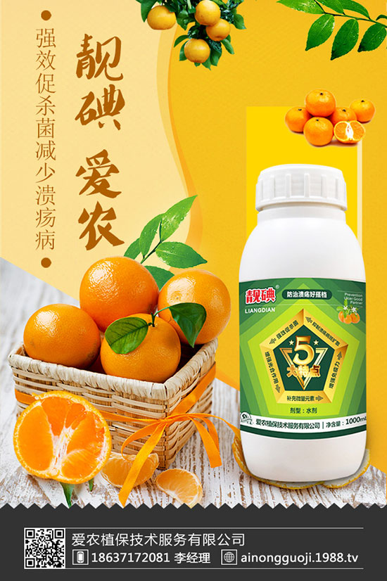 ���m����ηNֲ�����m���Nֲ�r�g��������