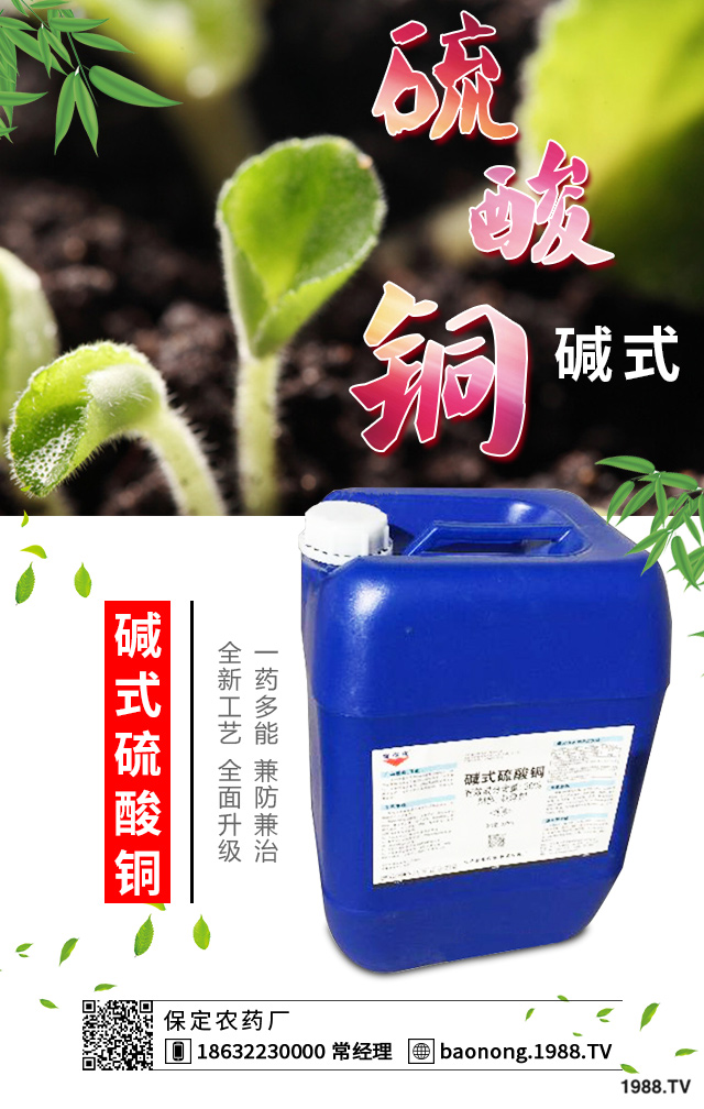 西葫蘆短粗病怎么辦？西葫蘆短粗病的成因和預(yù)防措施