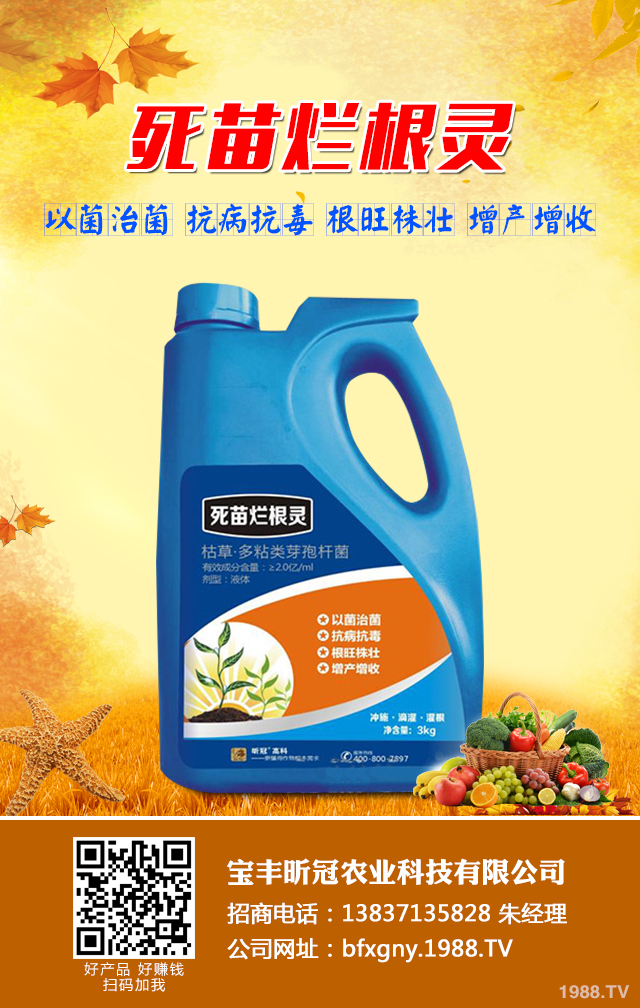 ���㶹������ô�k�����㶹������Ч���μ���