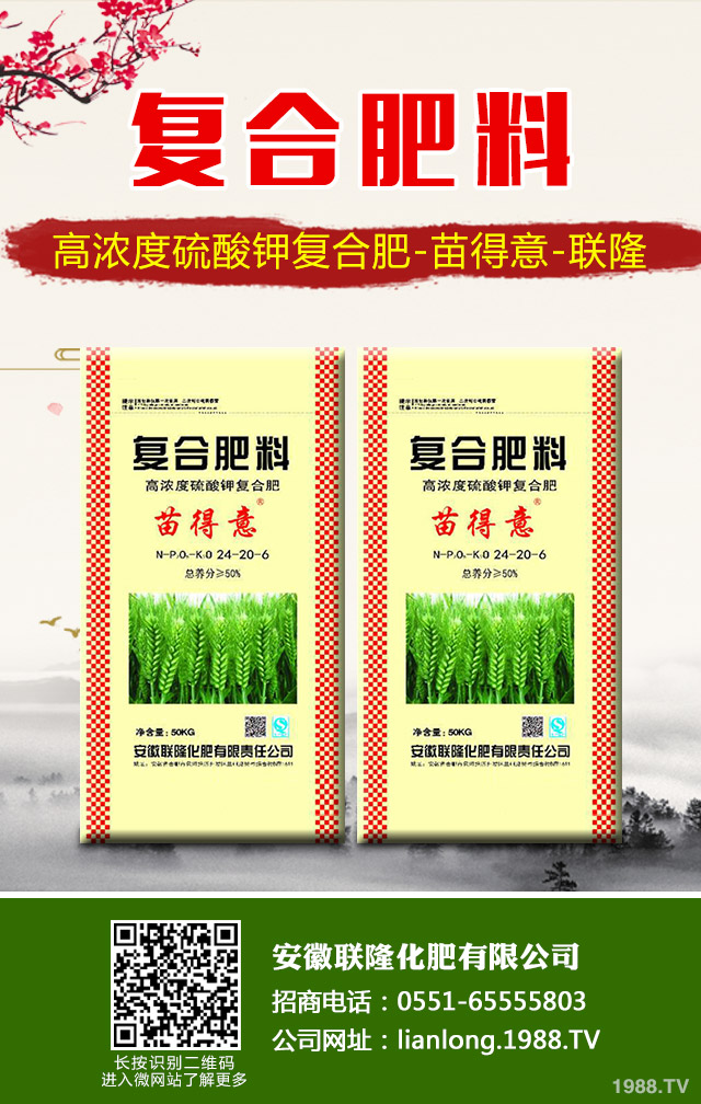 �K�F�~�S�݆��}��ô��Q���K�F�~�S�ݽ�Q����