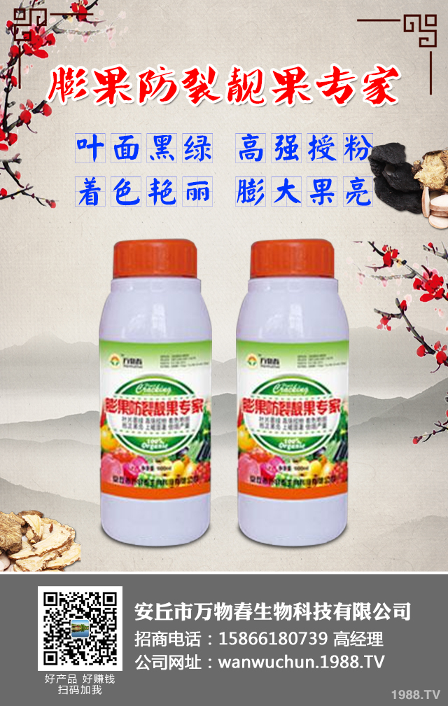 ����A(y��)����ݮ���Σ���ݮ���η��μ���