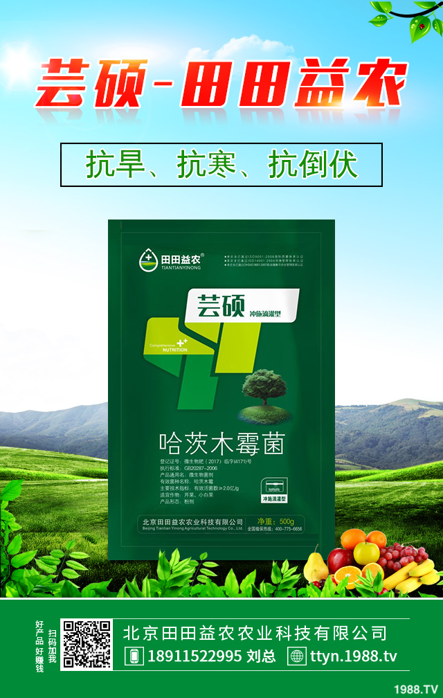 ����������η������������ٷ�������