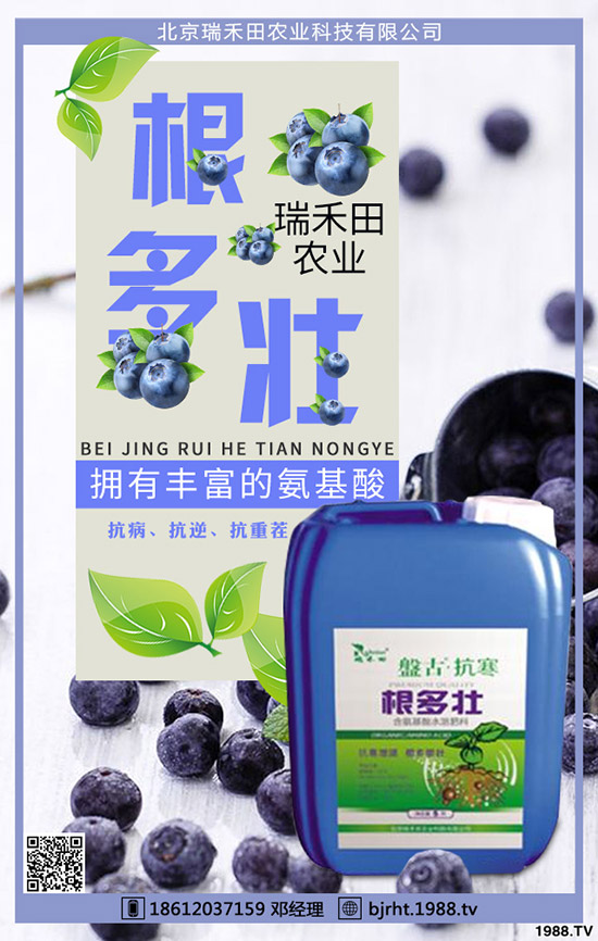 ���t��ʲô�r�g�Nֲ�����t���Nֲ����