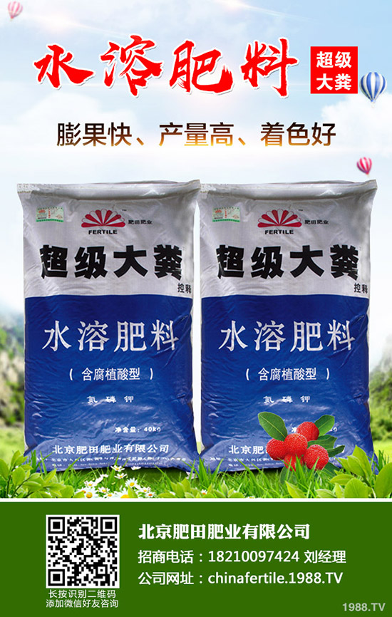 ��ݮ���˼t������������ô�k����ݮ�t�����������R(sh��)�e�����ͷ�����