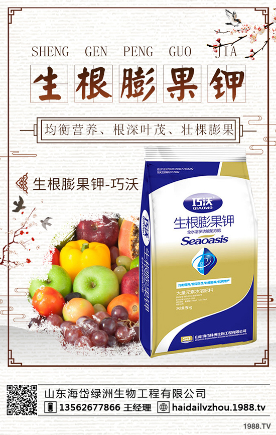     ��������(f��)�Ϸʃr(ji��)�������߄�(sh��)���(b��o)2019��9��9��