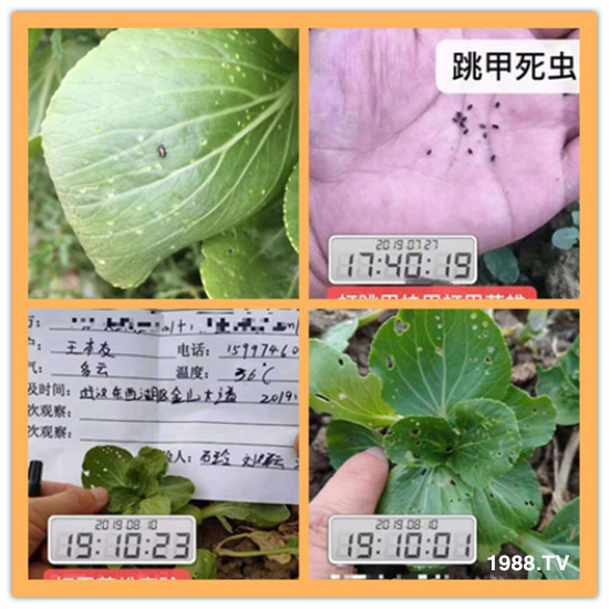     ���θ߿��԰׷�ʭ����?d��)��x����һ���Ɣ�