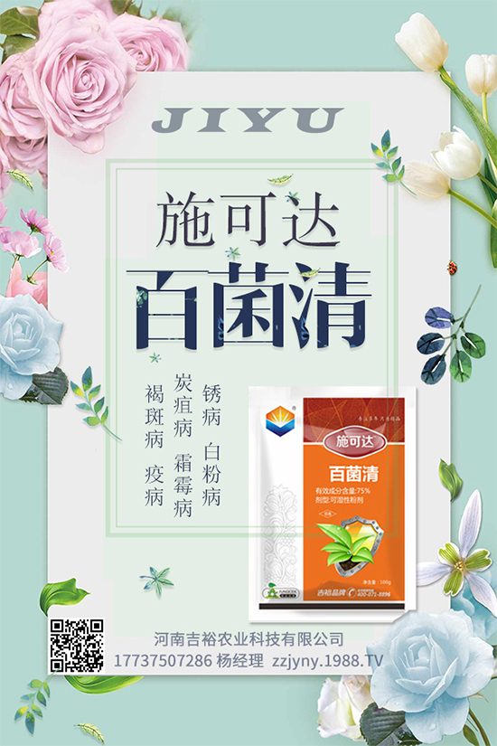 ϩ������