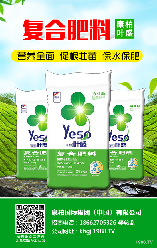 �۲˰߿ݲ�����ЩΣ���Y�����۲˰߿ݲ���Σ��������