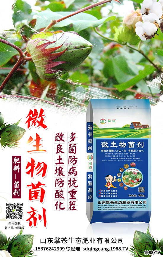     ����(ji��)���R��2020��1�������ܷ�ͦ�r�����������߄��A(y��)�y��