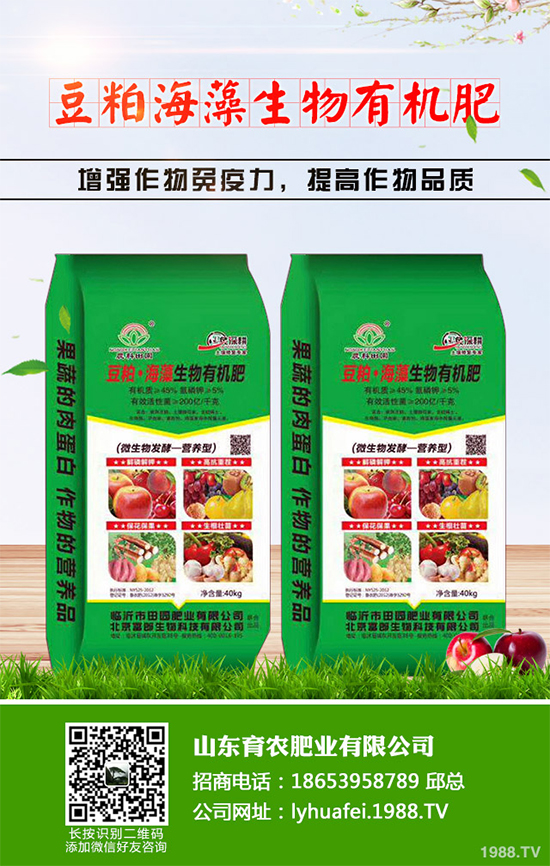 �۲����߲�����ЩΣ���Y��۲����߲��İY����δ�ʩ