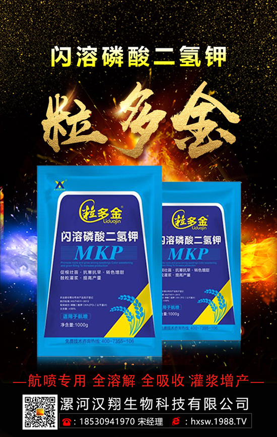 ������ηNֲ�θ߮a(ch��n)���أ����ӵĿƌW(xu��)�Nֲ������