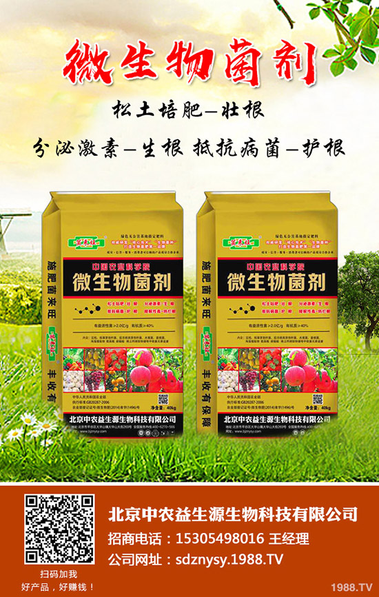     ���؃r��߀�ڝq��2020-1-16���ո����������؈�r�Ƕ�����