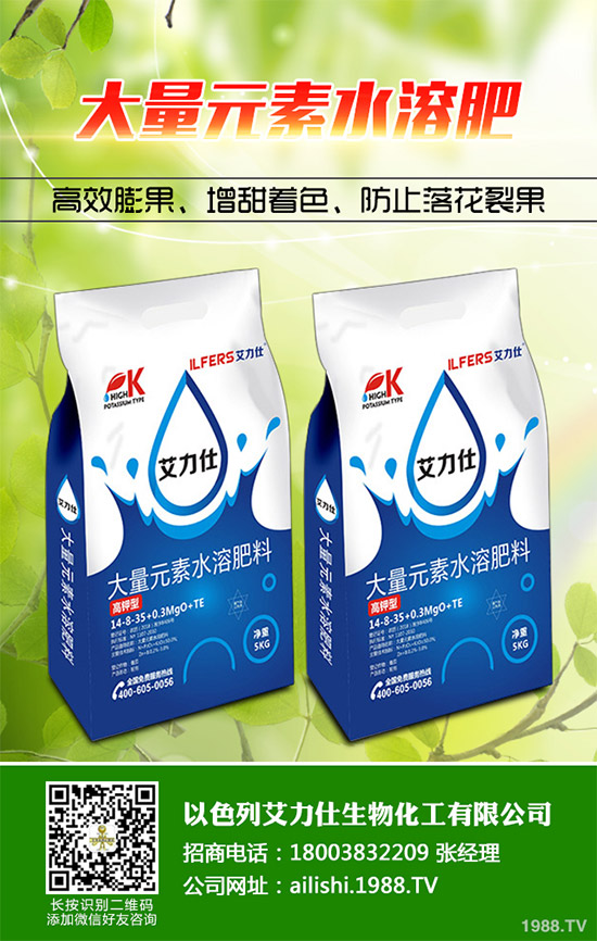 �۲˸���������ΰl(f��)������ԓ���ӷ��������(l��i)��������