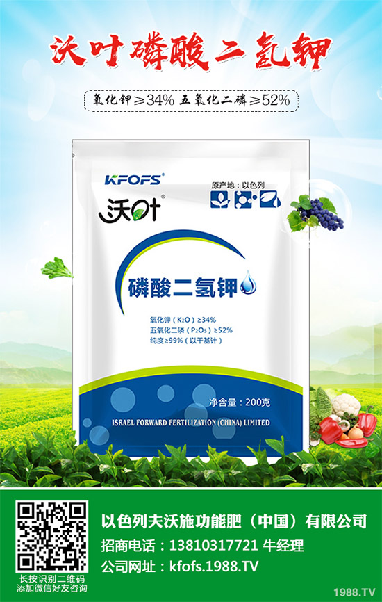 �۲˲���������ЩΣ����ԓ��η��Σ��۲˲�������Σ���c����