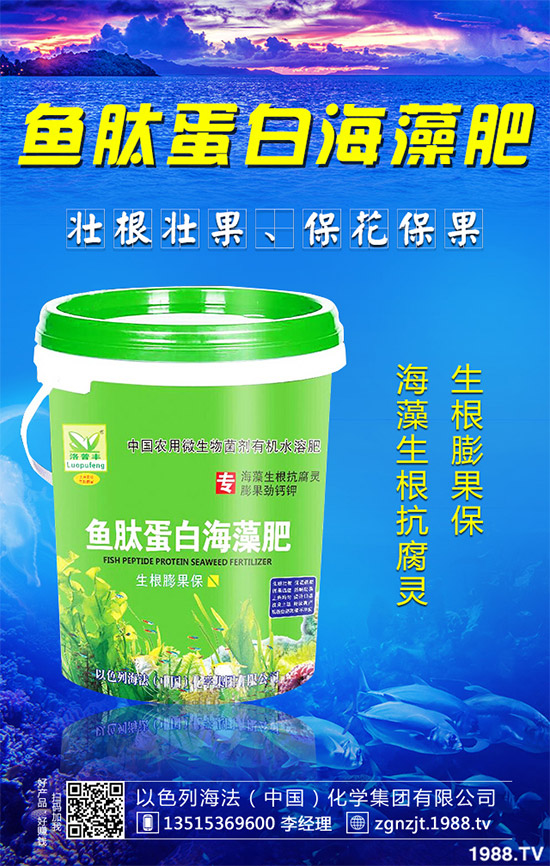 �۲˲���������ЩΣ����ԓ��η��Σ��۲˲�������Σ���c����