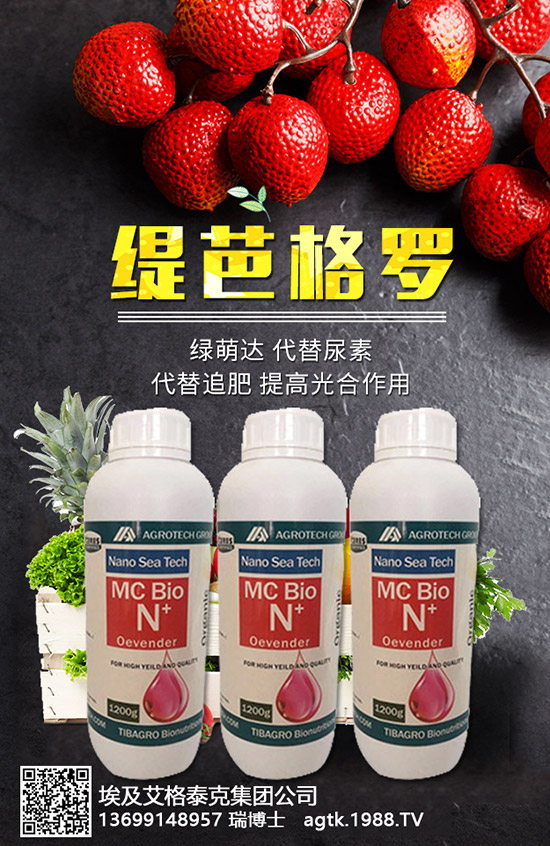 ���A�ĠI�B(y��ng)�rֵ����Щ����Ч�c��������Щ��������Щ��Ⱥʳ����