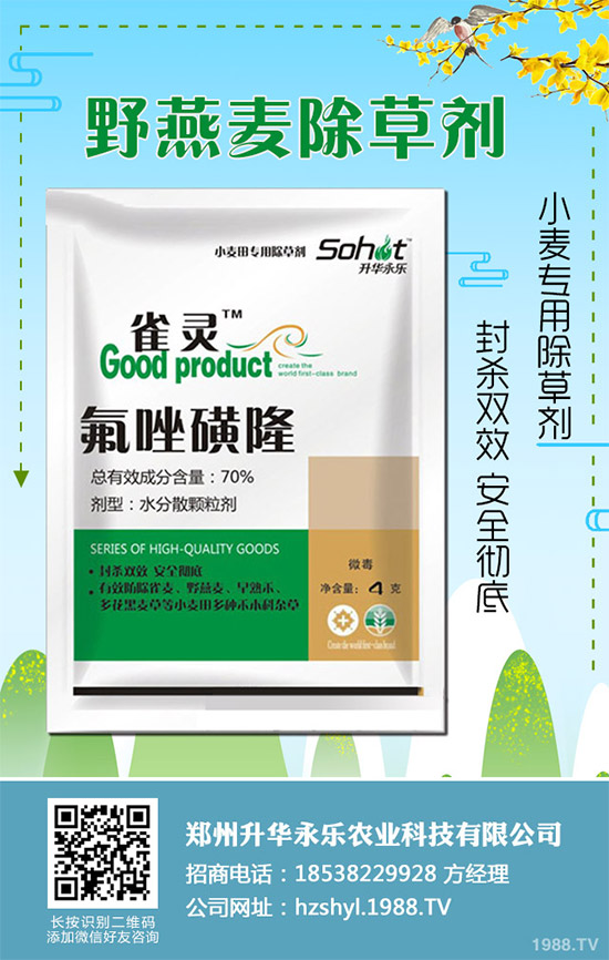 ���ݳ��݄�