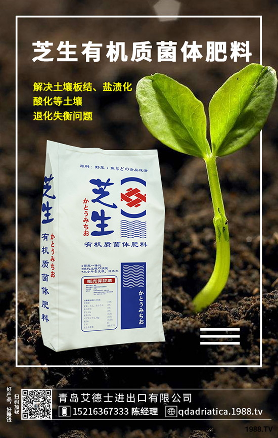 ��������Щ�I�B(y��ng)�rֵ�����ҵĹ�Ч�c������ʲô������xُ��