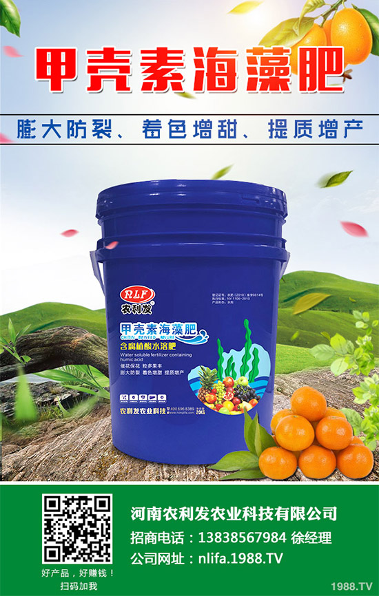 �t���c�uѪ������Щ�^(q��)�e�����߹�Ч�÷��cʹ�ý���