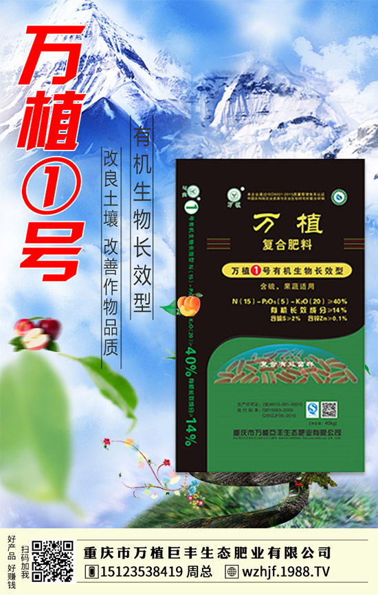     �R����ĩ�����@�Ј��������f������2020-1-4�������¶��@�r�������