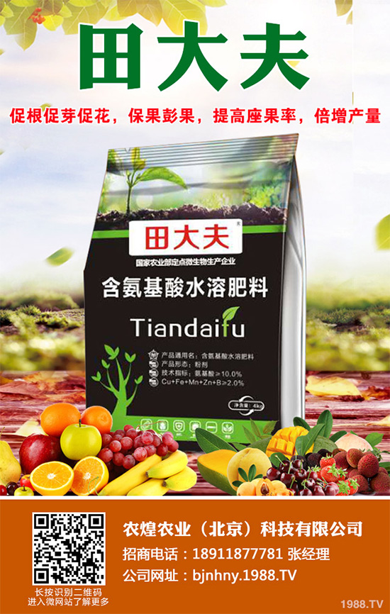 �Nֲʲôˮ����ٍ�X��2020��ˮ���Nֲָ��