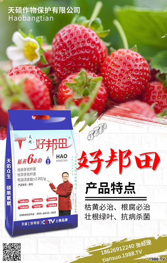 2020���r(n��ng)��Nֲʲôˮ��ٍ�X����Щ�N����Ʒ�N���^�ã�