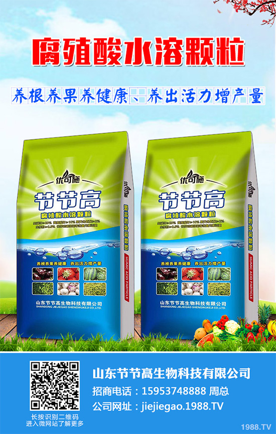 �Nֲ�㹽ǰ�������2020���㹽�Nֲǰ������