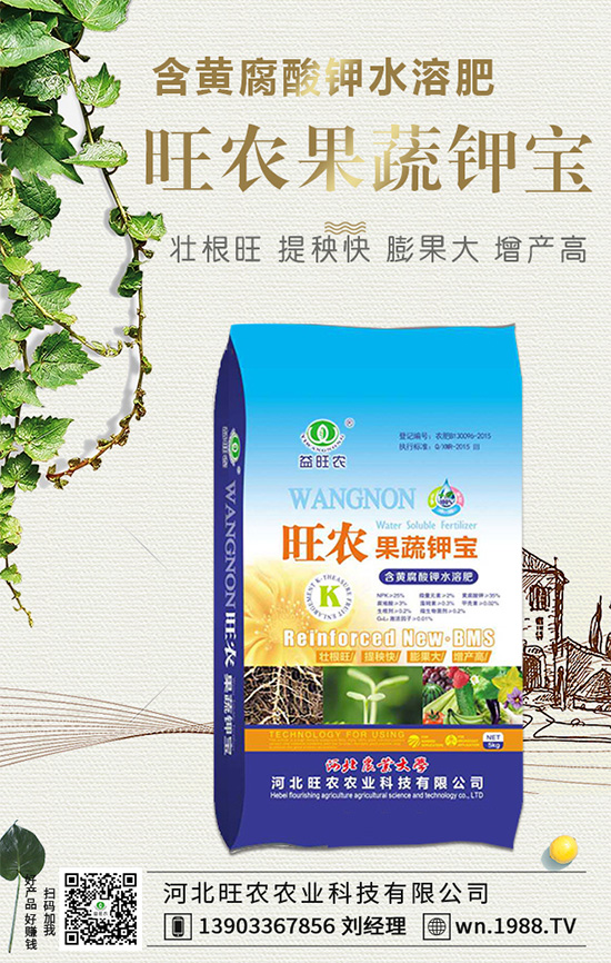 ���������L��������Щ���������B(y��ng)�oҪ�c��