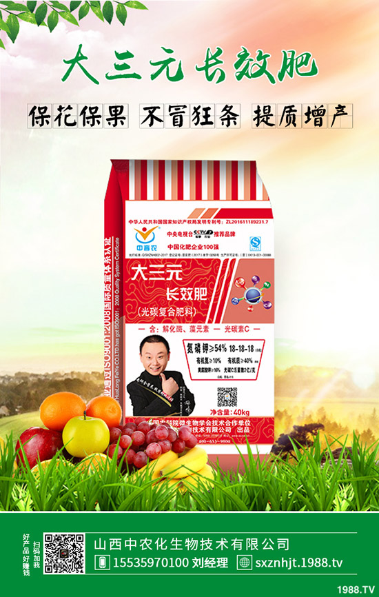     ⛷������»���2020��1��7�ս�������⛷ʃr�������