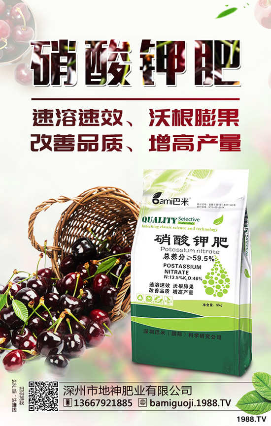 �t������r�g��ʲô�r�����t�����緽������Щ��