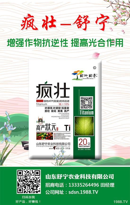 �Nֲ�㹽��ҪͶ����٣��㹽�Nֲ�ɱ���������