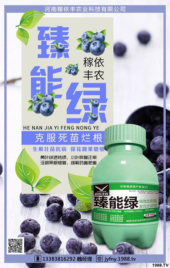 冬季大棚蔬菜如何應對天氣變化，冬季大棚蔬菜管理要點！