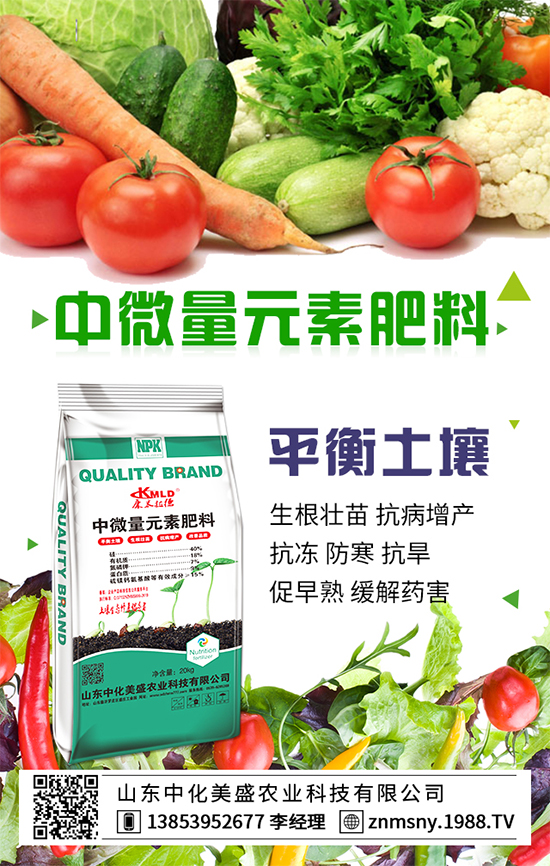 ������ݮ��ô�ܣ�������ݮ������ʩ��