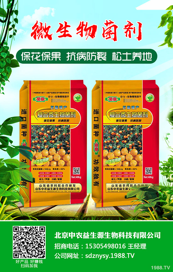     ����С���[��ηNֲ������С���[�Nֲ�r�g���Nֲ������