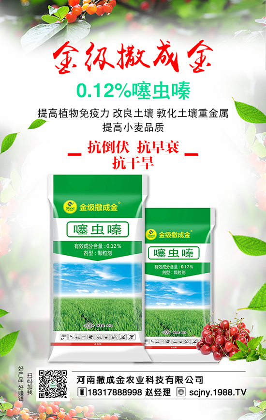 ���ˠI�B(y��ng)�S�������S��������ʩ�ʺ���Ҫ