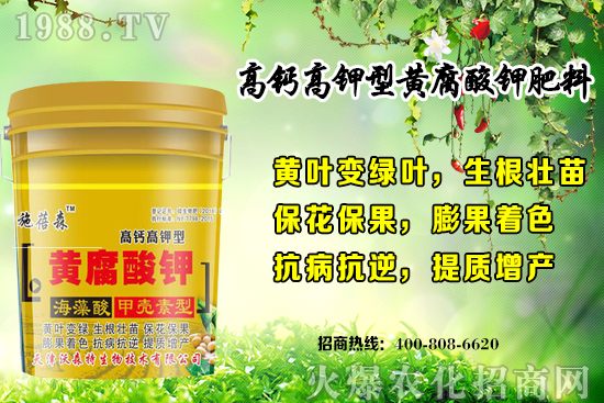 ��ݮ���L���h(hu��n)��Ҫ������Щ���＾��ݮ��ֲע����헺͹�����ʽ��