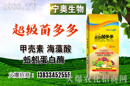 ��ɫ��Ҭ�˶����Xһ������ɫ��Ҭ�˷NֲЧ����������ӷNֲ��