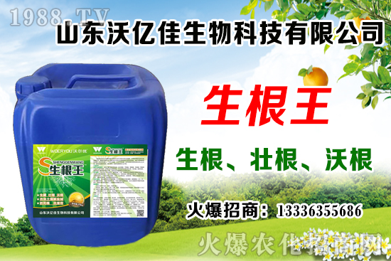 Ӱ푲�ݮ��ѿ�ֻ���������Щ����ݮ��ѿ�ֻ����c��ֲ����Ҫ�c(di��n)��