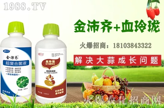     �ļ�ʯ�����L��������Щ���ļ�ʯ����ֲ���g�������ڹ�����