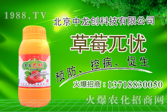 �������m�ϷNֲʲô��ˎ�ģ����@�����׷N��Щ��ˎ����